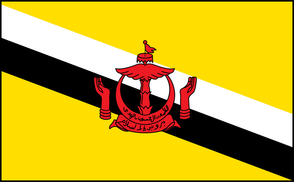 Image of Brunei flag