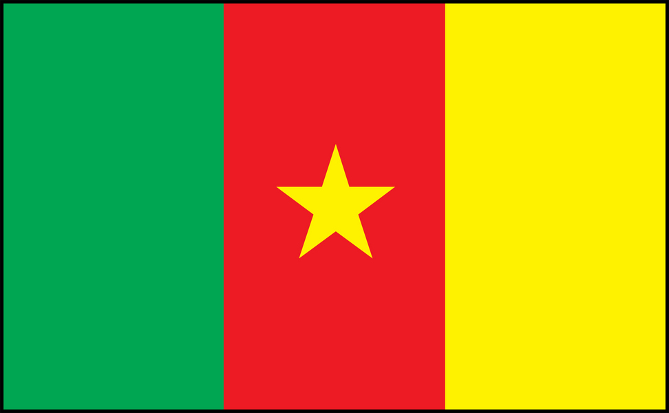 Image of Cameroon flag