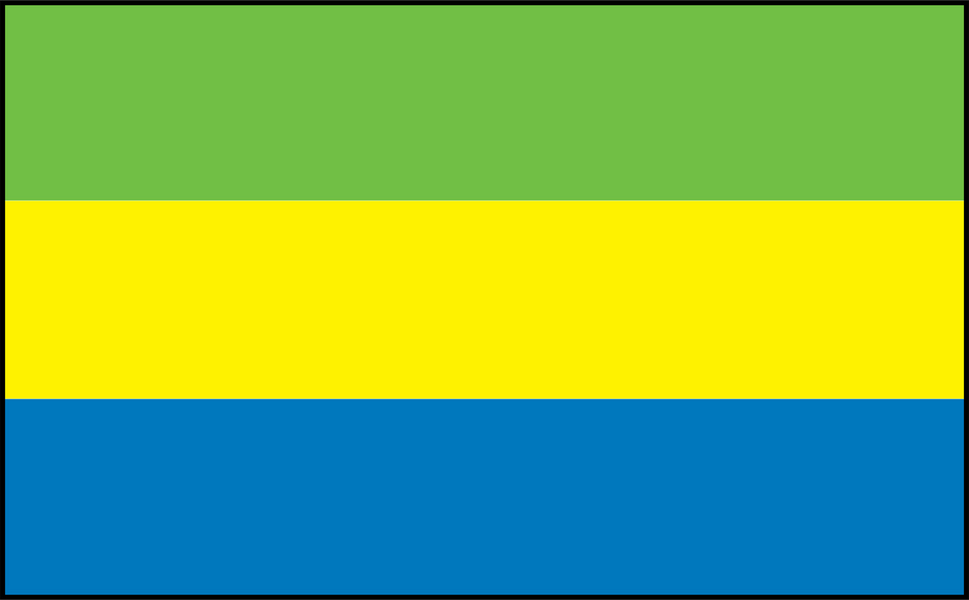 Image of Gabon flag