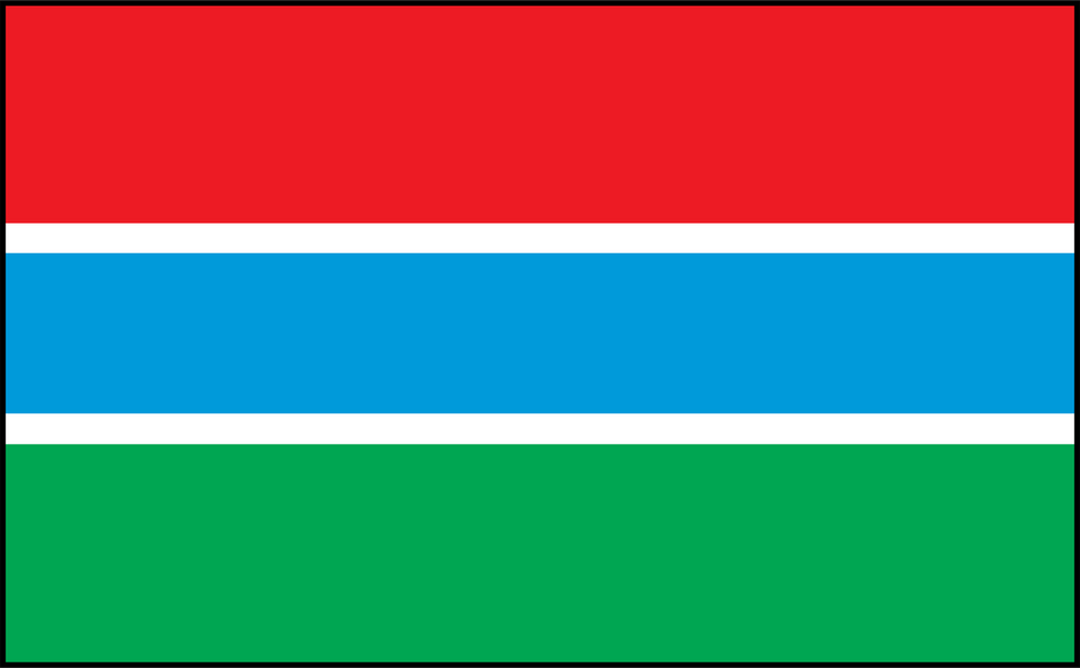 Image of Gambia flag