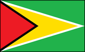 Guyana Flag Image