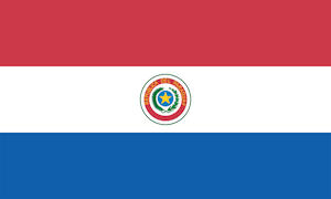 Paraguay Flag and Coat of Arms Image