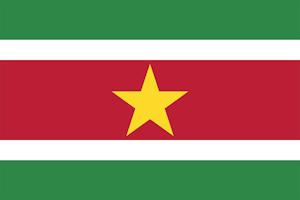Suriname Flag Image